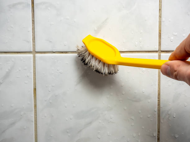 Best Mold Testing  in Branson, MO